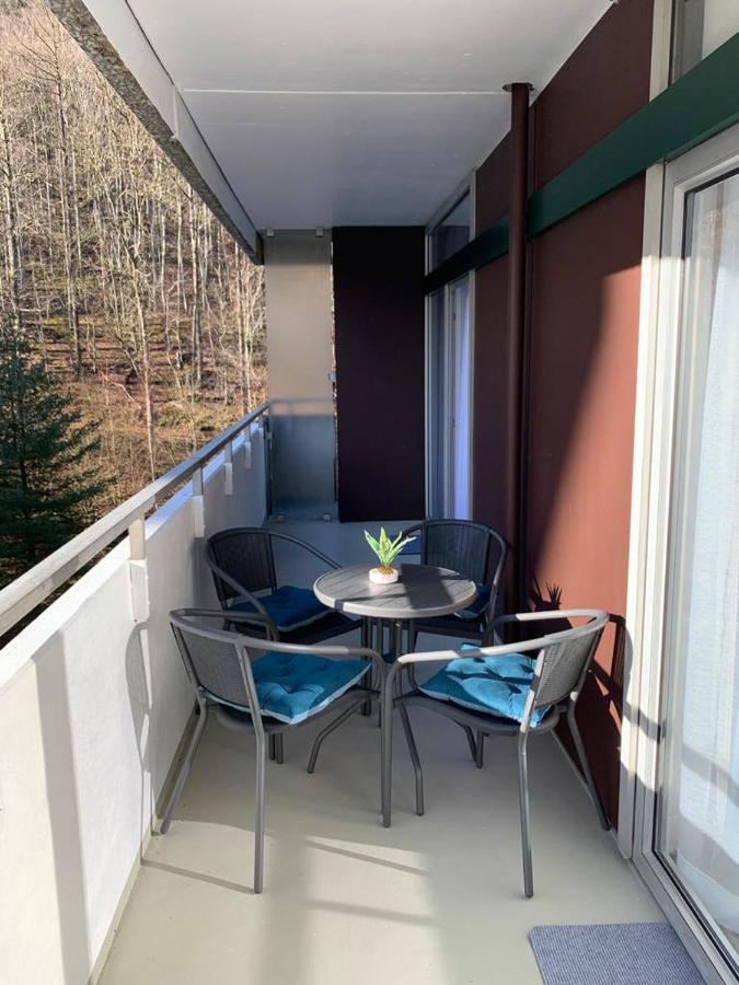 Mariposa 3 Incl Pool & Sauna Bad Harzburg Ngoại thất bức ảnh