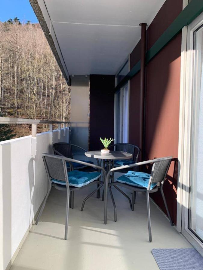 Mariposa 3 Incl Pool & Sauna Bad Harzburg Ngoại thất bức ảnh